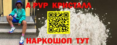гидра Будённовск