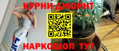 гидра Будённовск