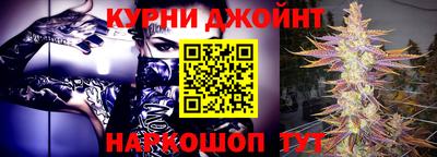 гидра Будённовск