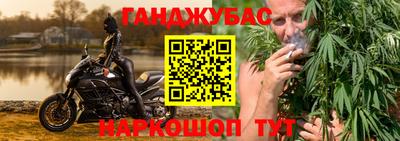гидра Будённовск