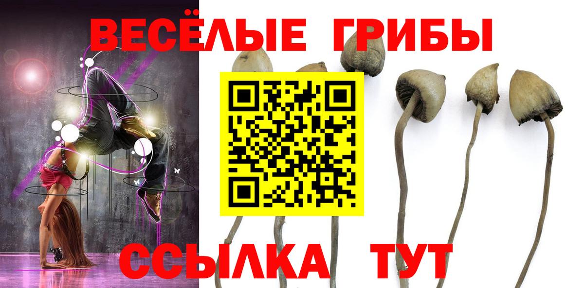 Галлюциногенные грибы прущие грибы Барабинск