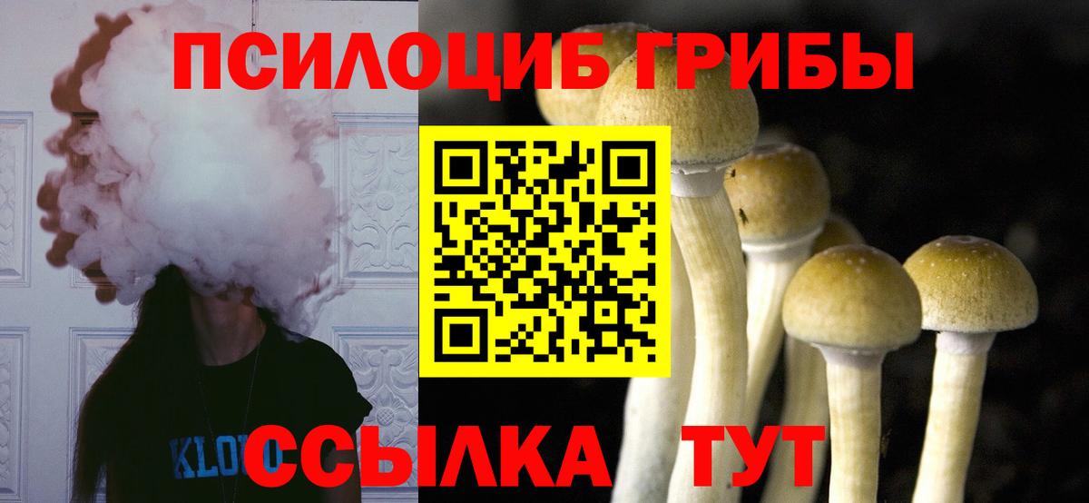 Барабинск  Псилоцибиновые грибы Psilocybine cubensis  Вход с VPN  Псилоцибиновые грибы Cubensis 